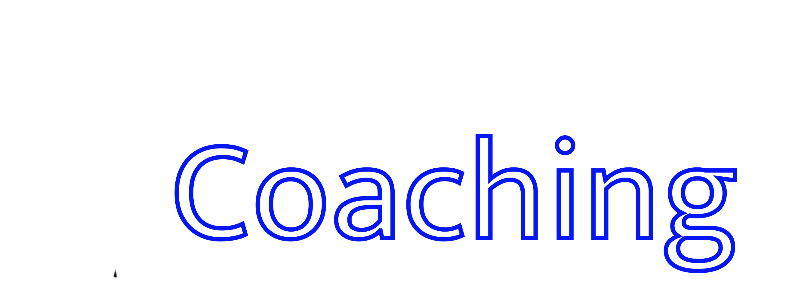 Iwannis Coaching